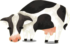 cow